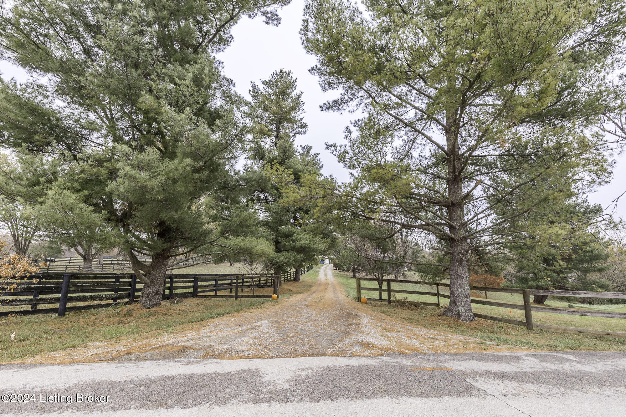 2309 Spann Ln