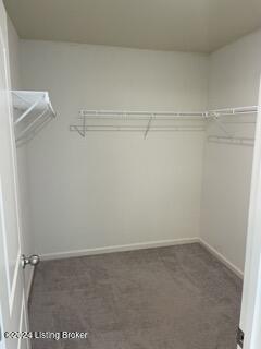 12037 Cascade Falls Trl