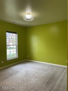 12037 Cascade Falls Trl