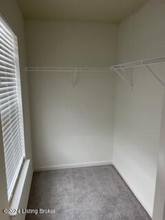 12037 Cascade Falls Trl