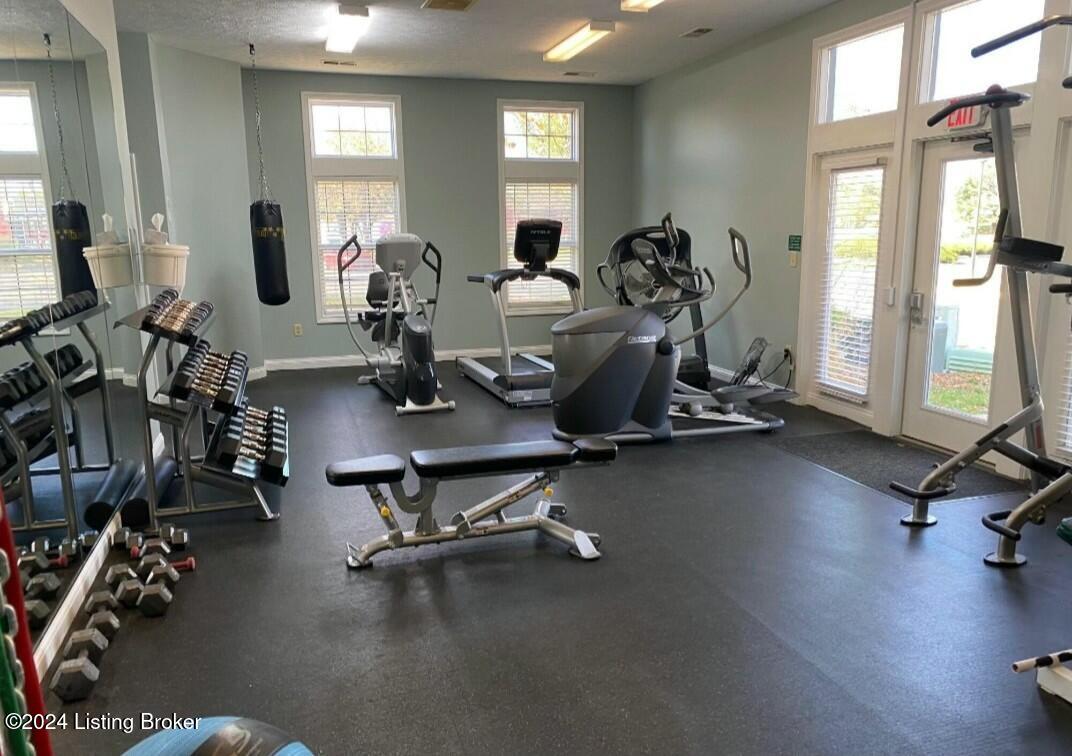 10306 Royce Ct APT 203