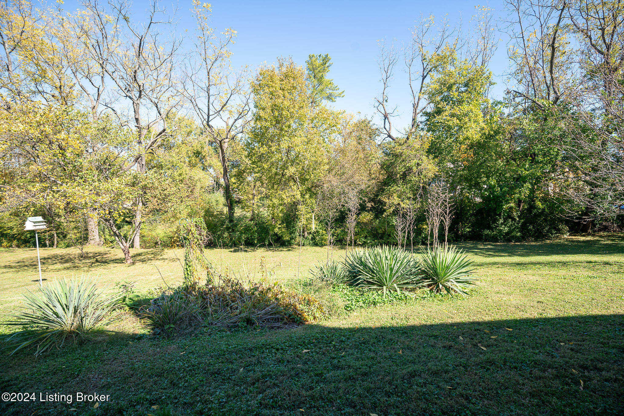 6009 Bolo Ct