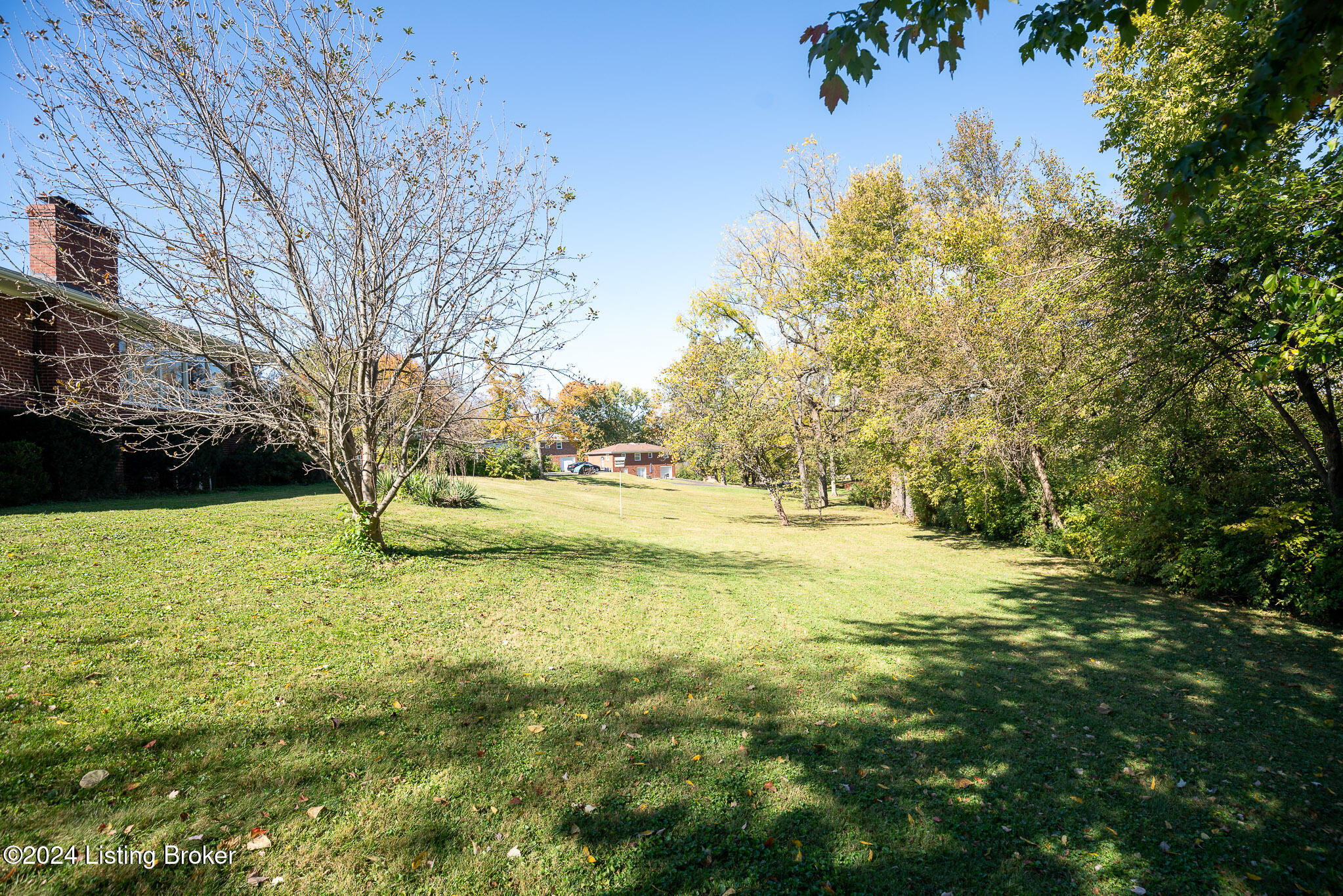 6009 Bolo Ct