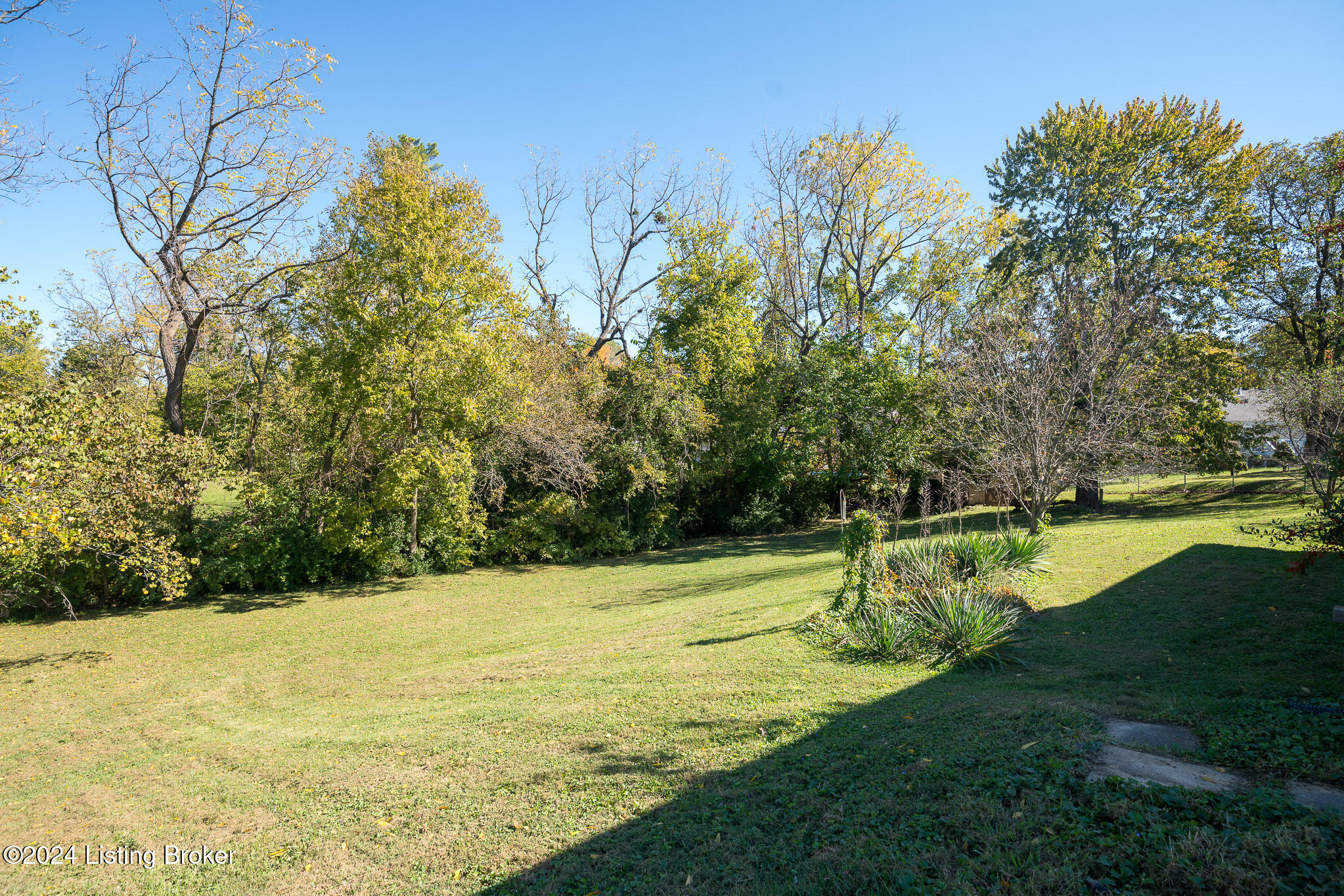 6009 Bolo Ct