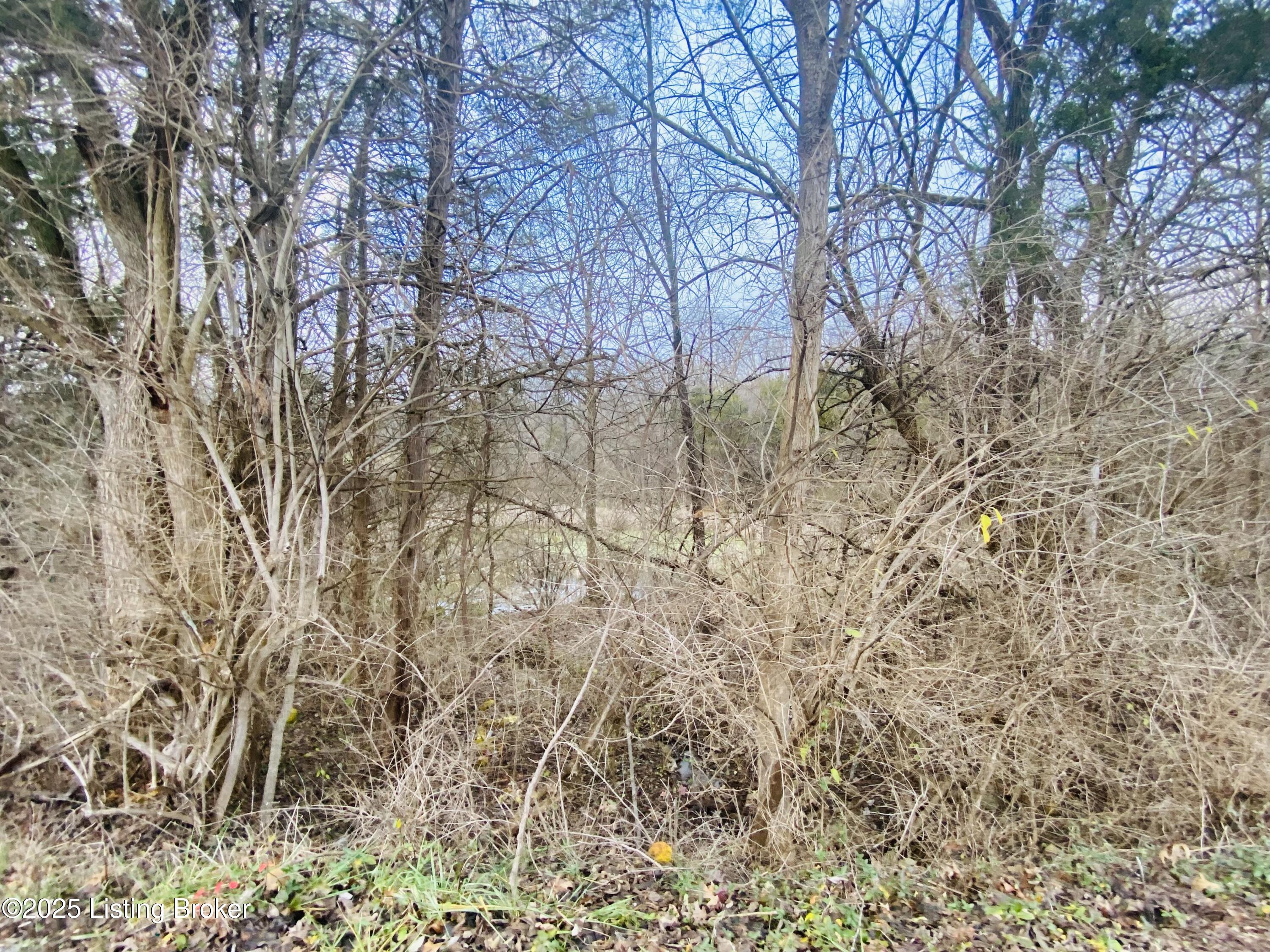 1805 Wildbriar Ct