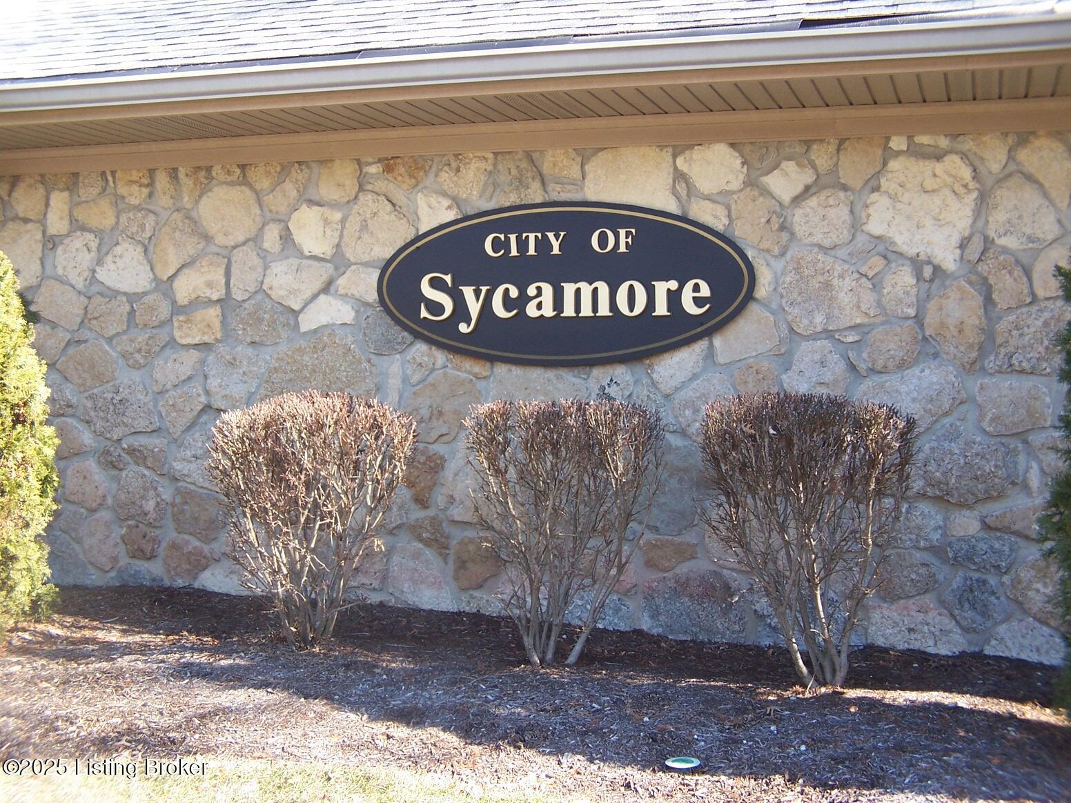 113 Sycamore Dr