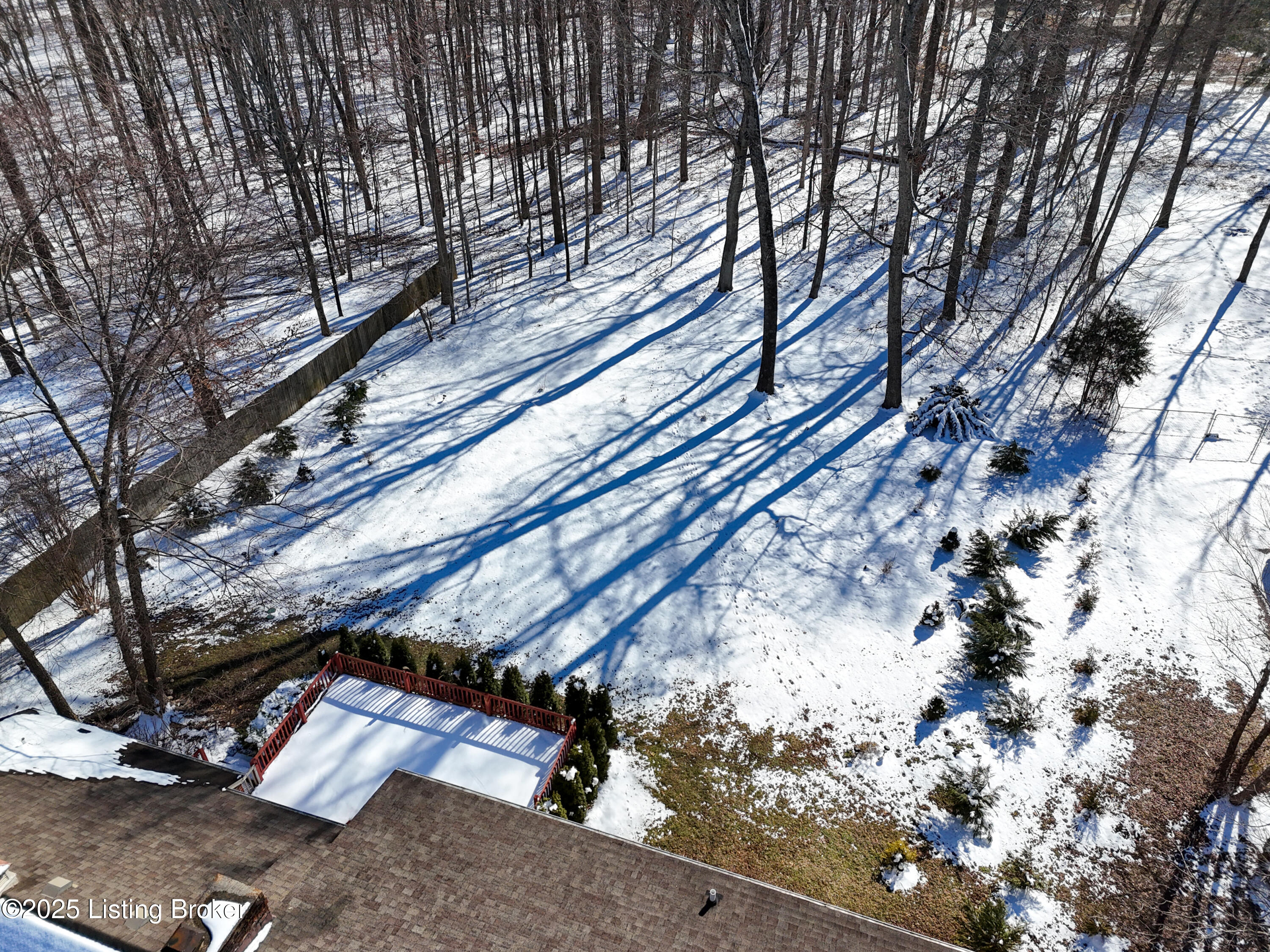 93 Mayapple Ln