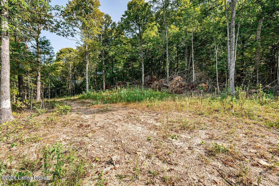 11451 Leitchfield Rd