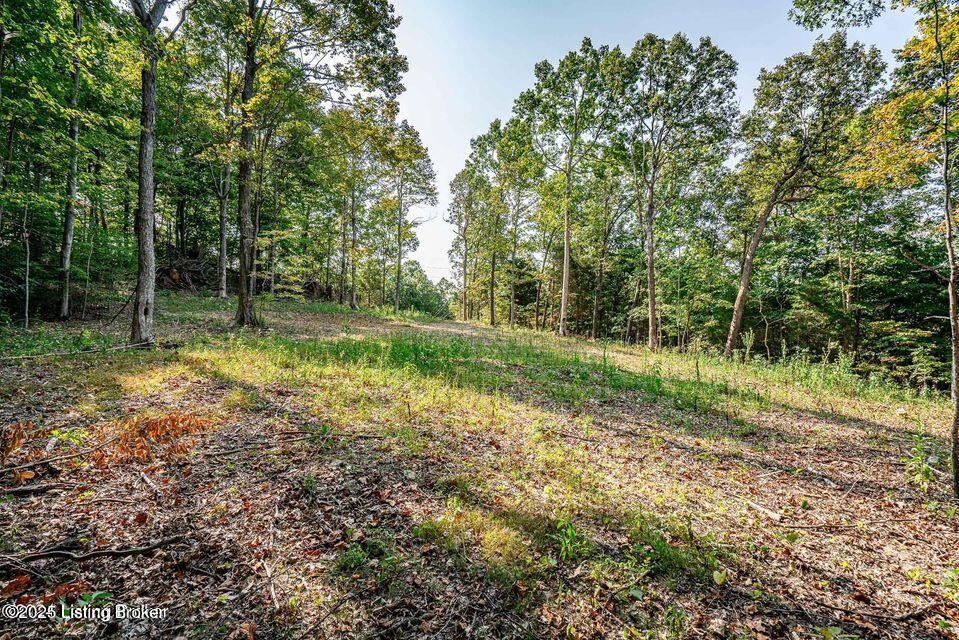 11451 Leitchfield Rd