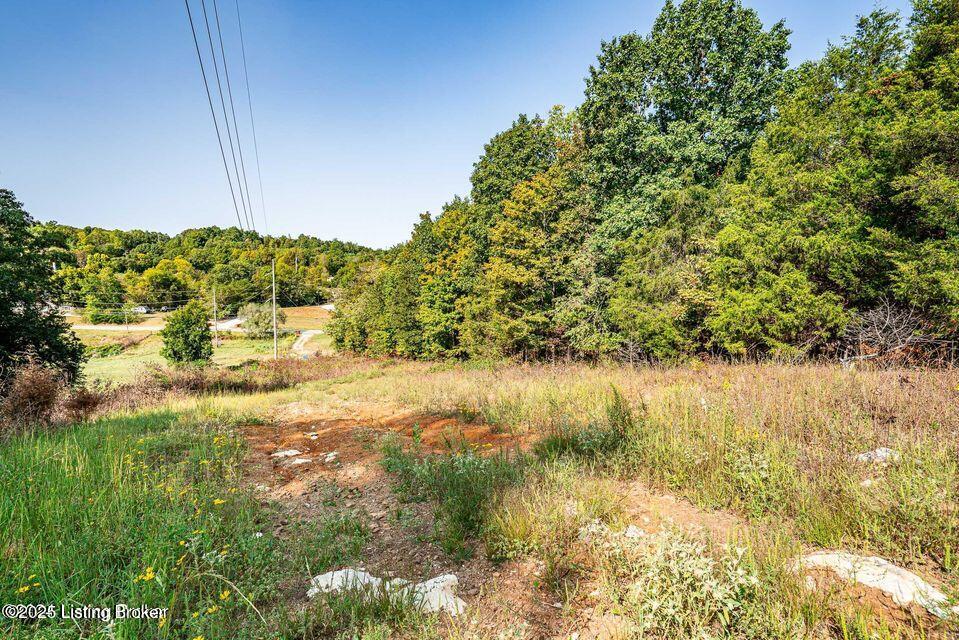 11451 Leitchfield Rd