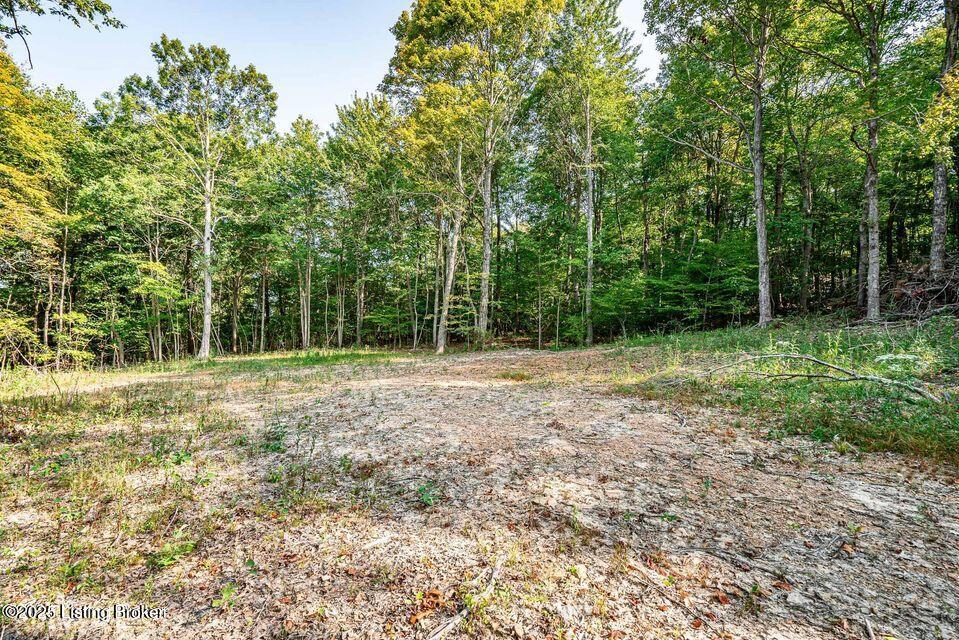 11451 Leitchfield Rd