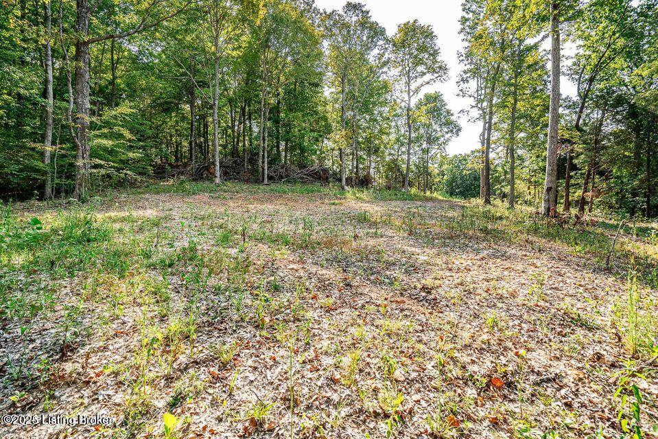 11451 Leitchfield Rd