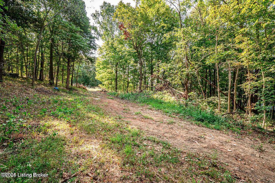 11451 Leitchfield Rd