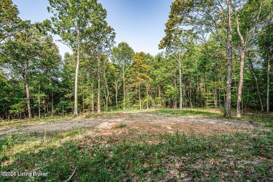11451 Leitchfield Rd