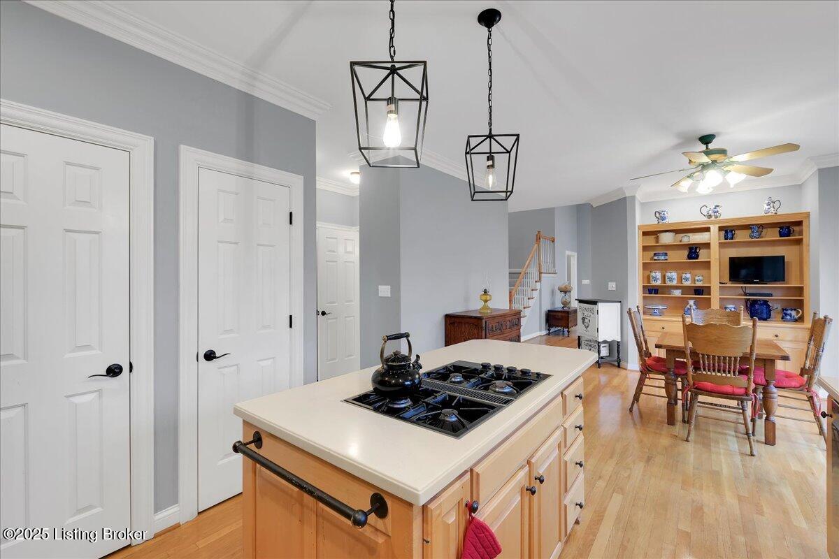10605 Taylor Farm Ct