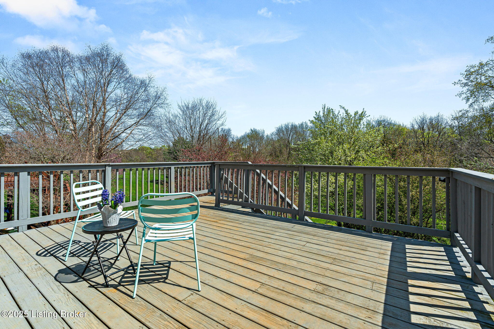 10117 Springhurst Gardens Cir
