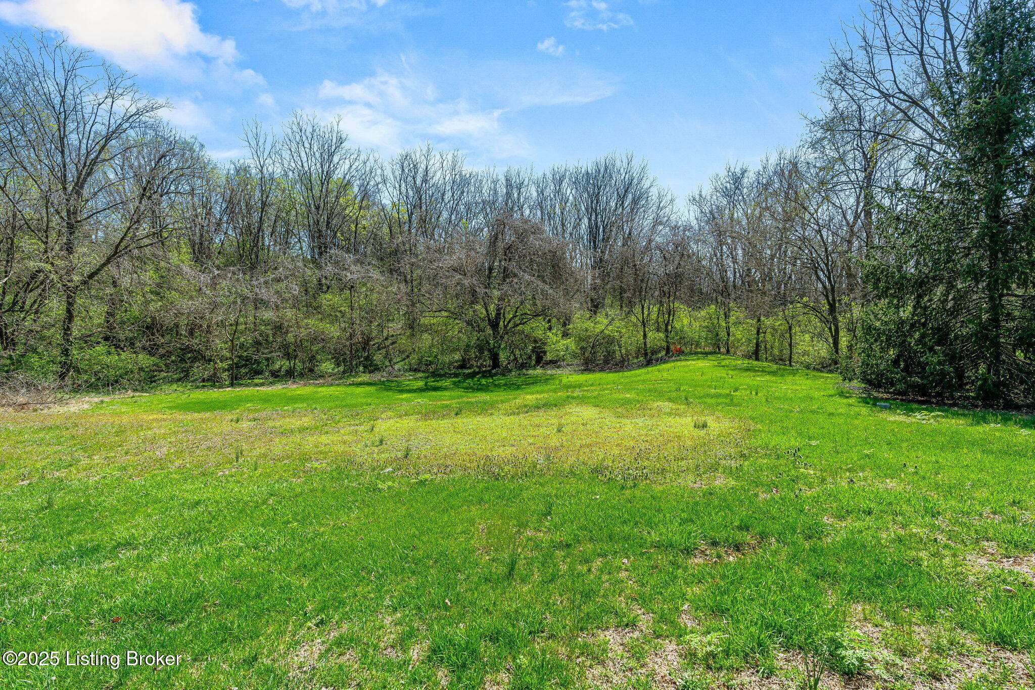 10117 Springhurst Gardens Cir