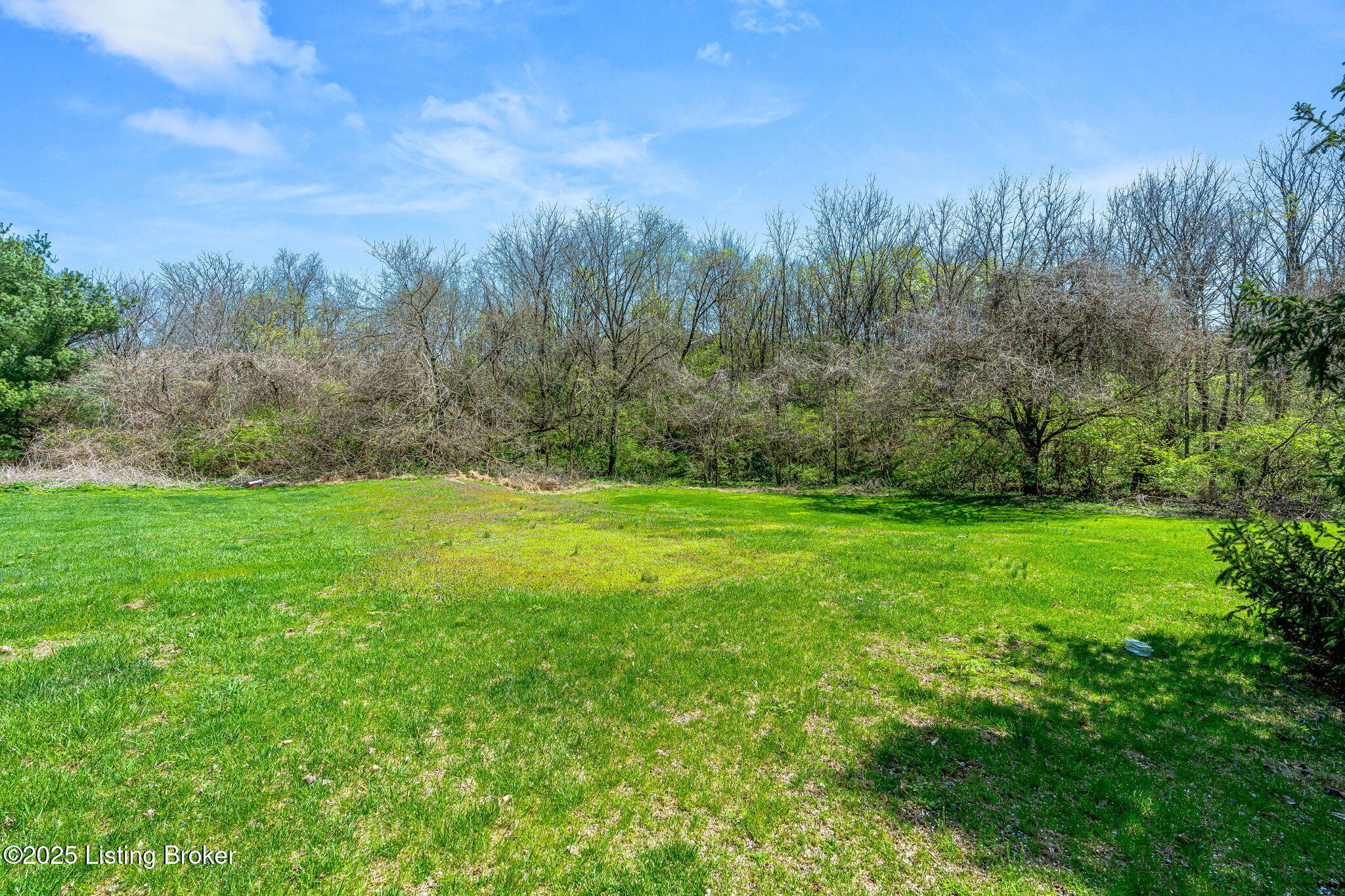 10117 Springhurst Gardens Cir