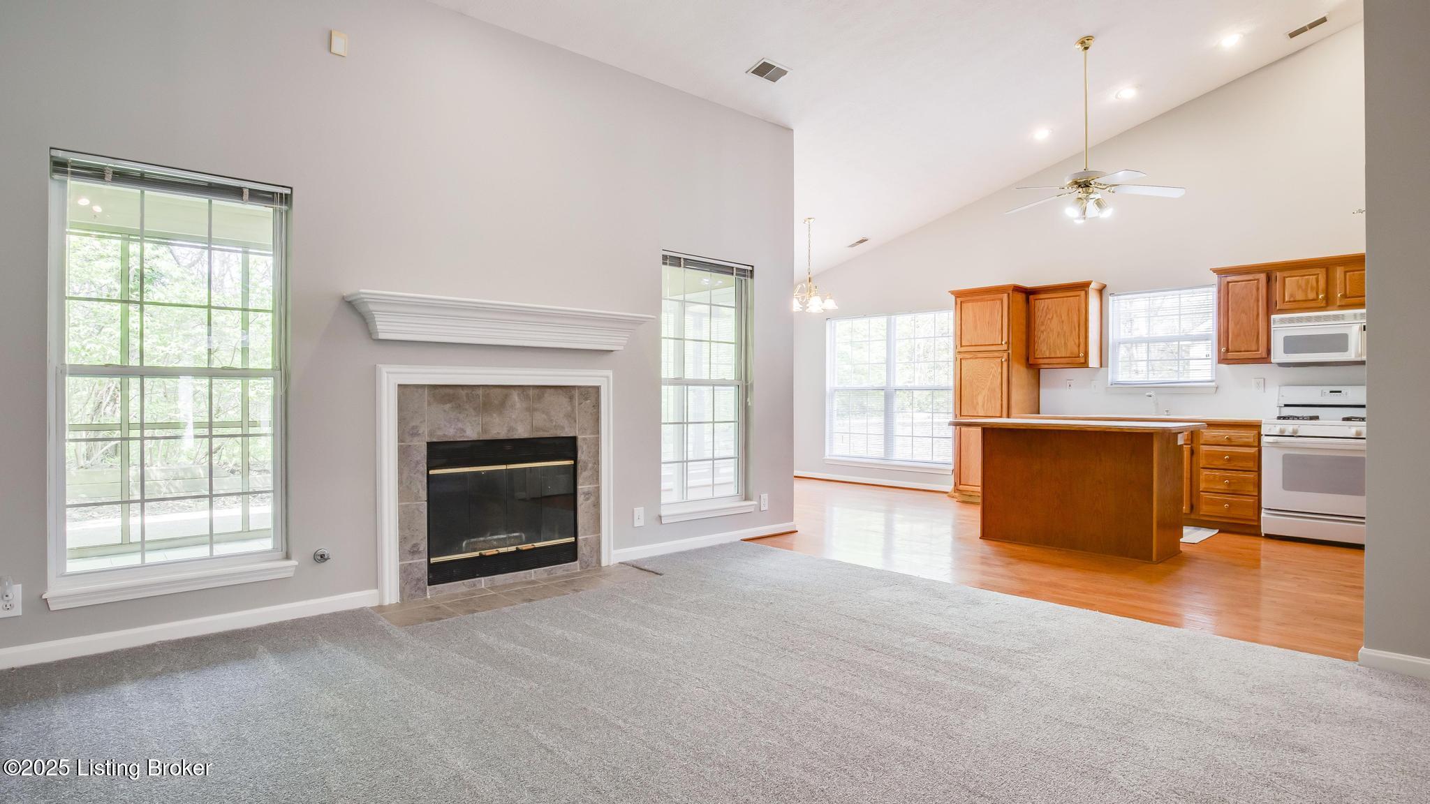 525 Village Lake Dr