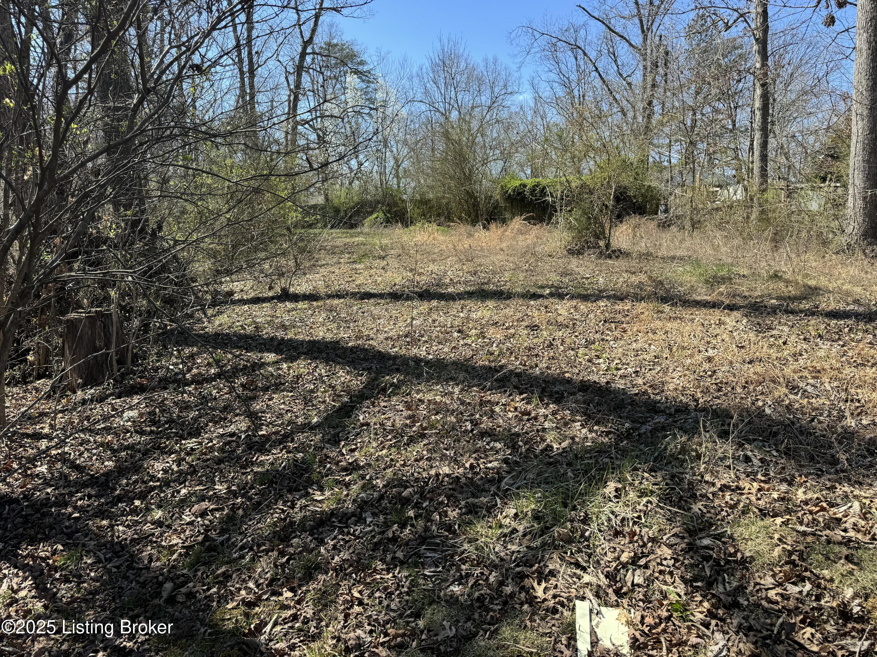 Lot 132 Kings Lake Dr