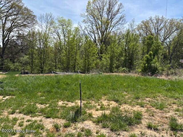 13425 Riggs Lake Ln