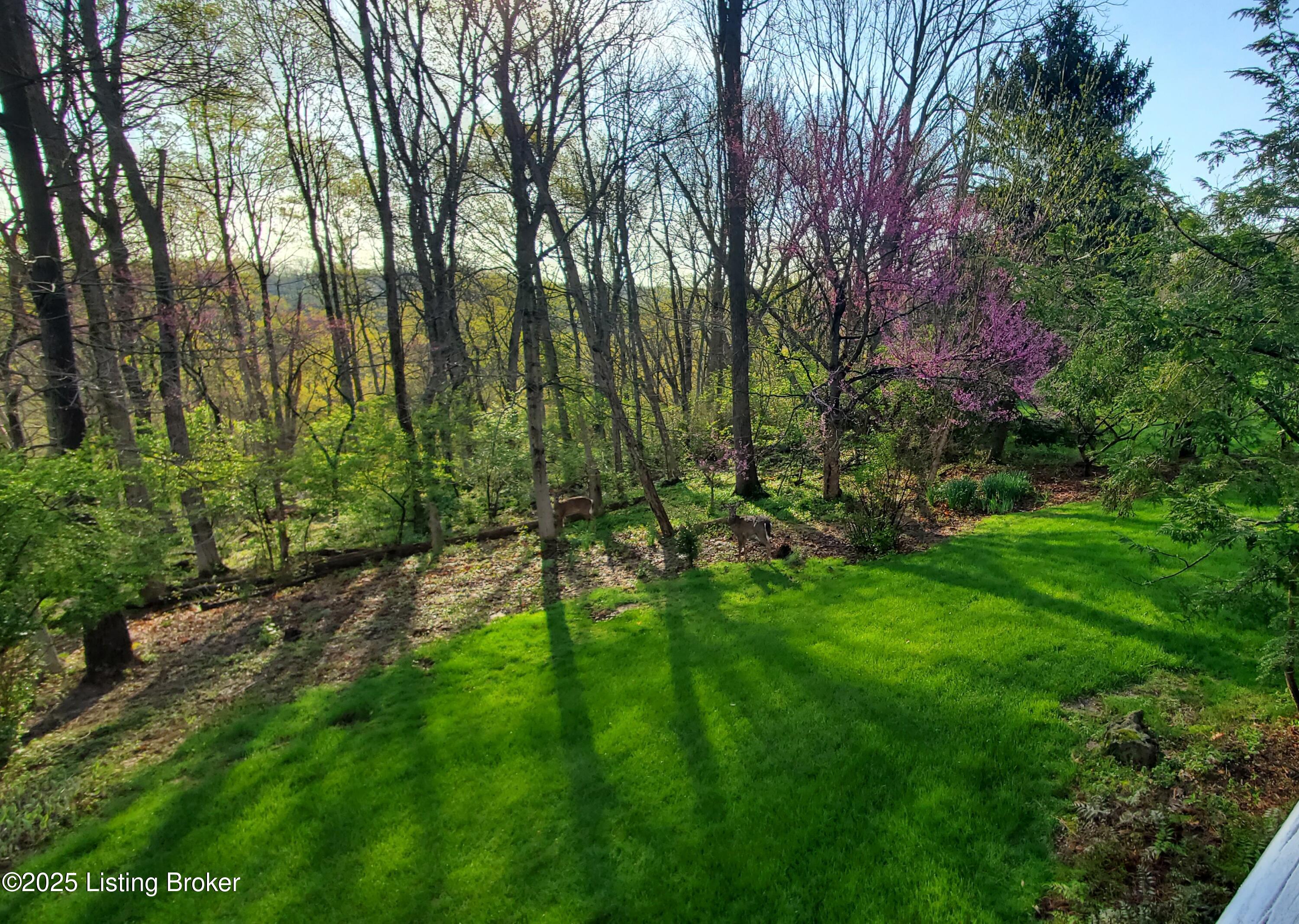 6617 Harrods View Cir
