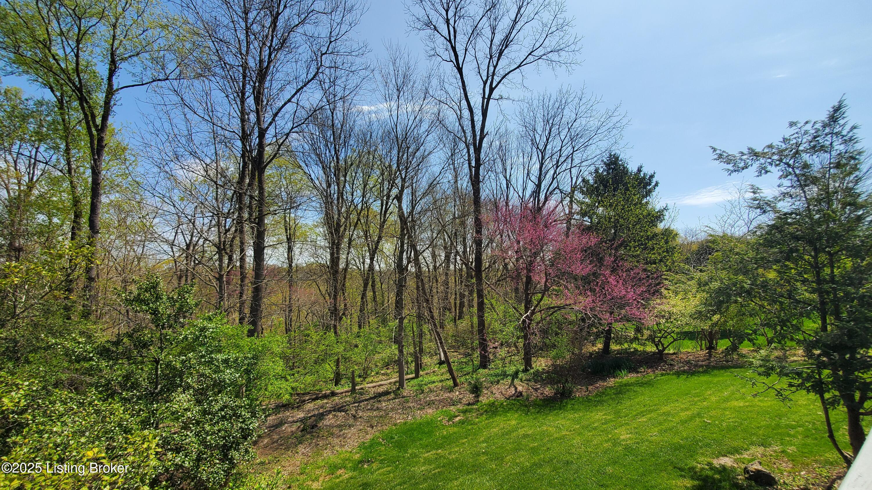 6617 Harrods View Cir