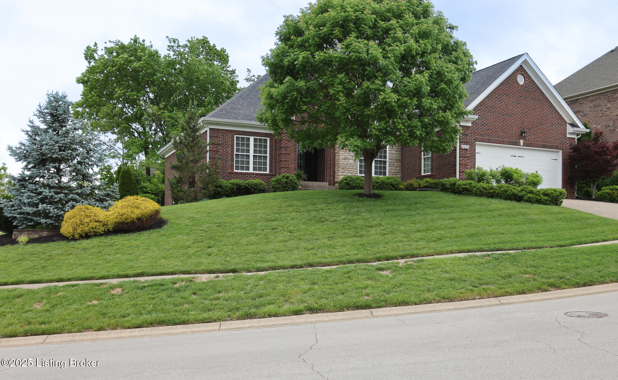 1115 Malone Pl