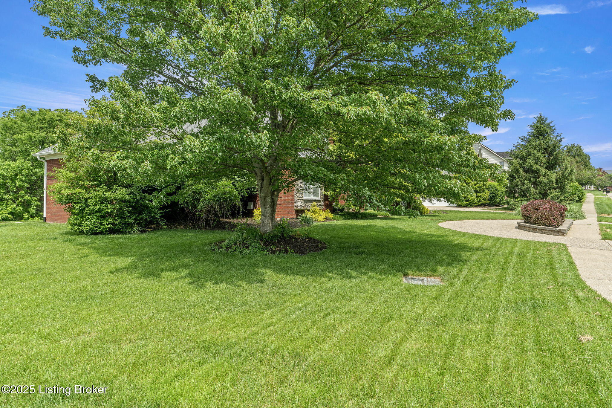 4528 Dove Park Blvd
