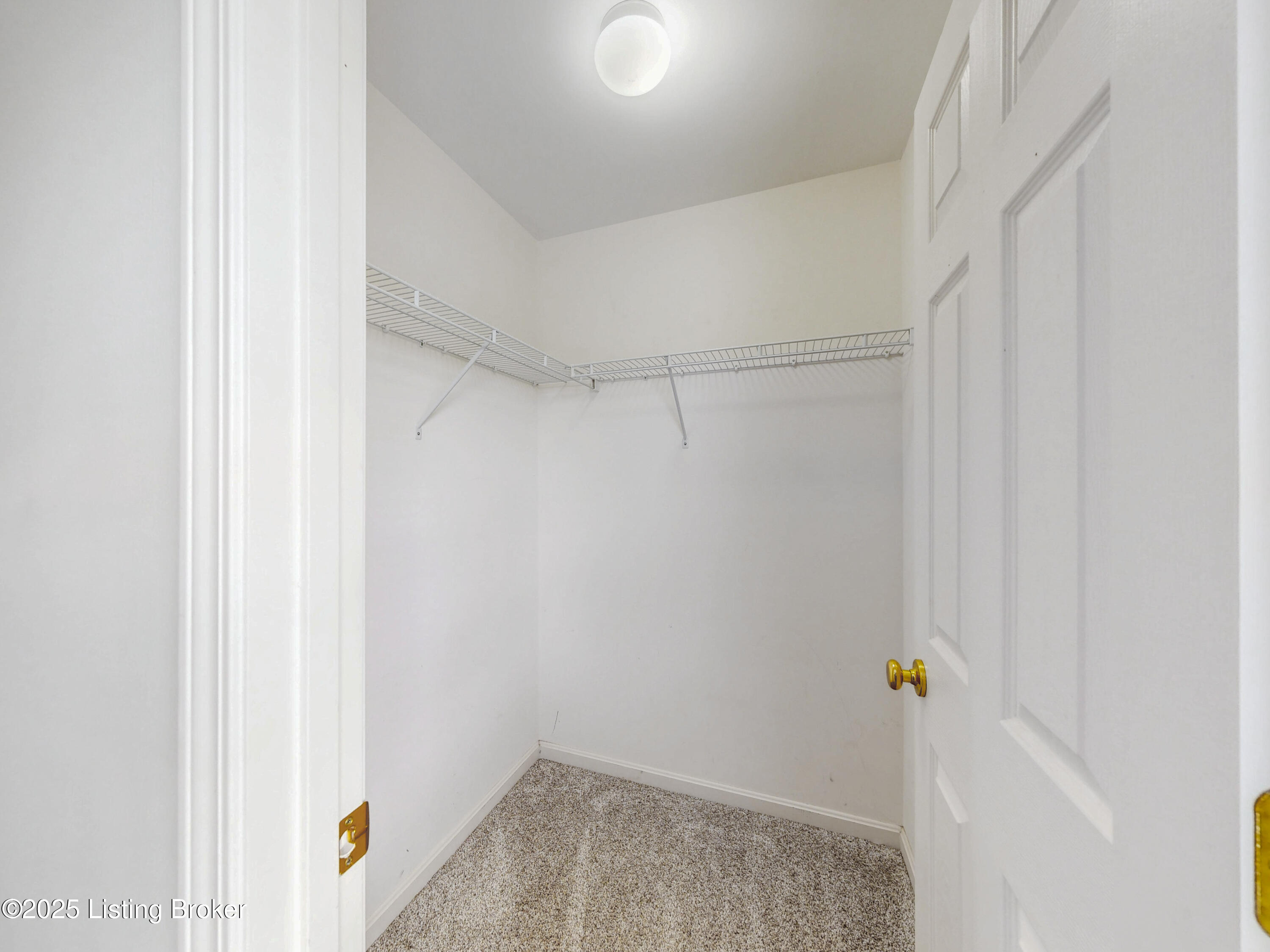 10902 Collington Dr