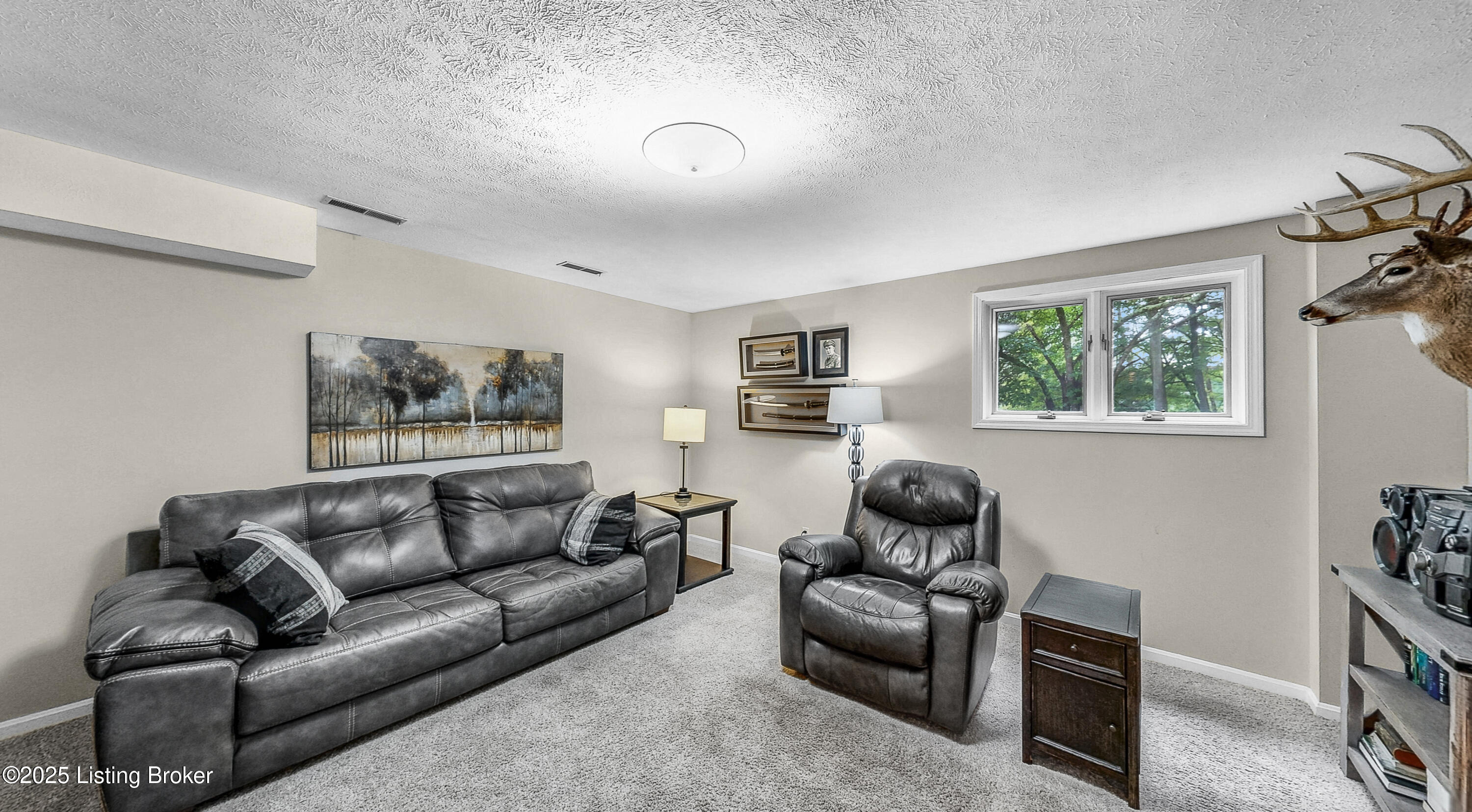 17405 Creek Run Dr