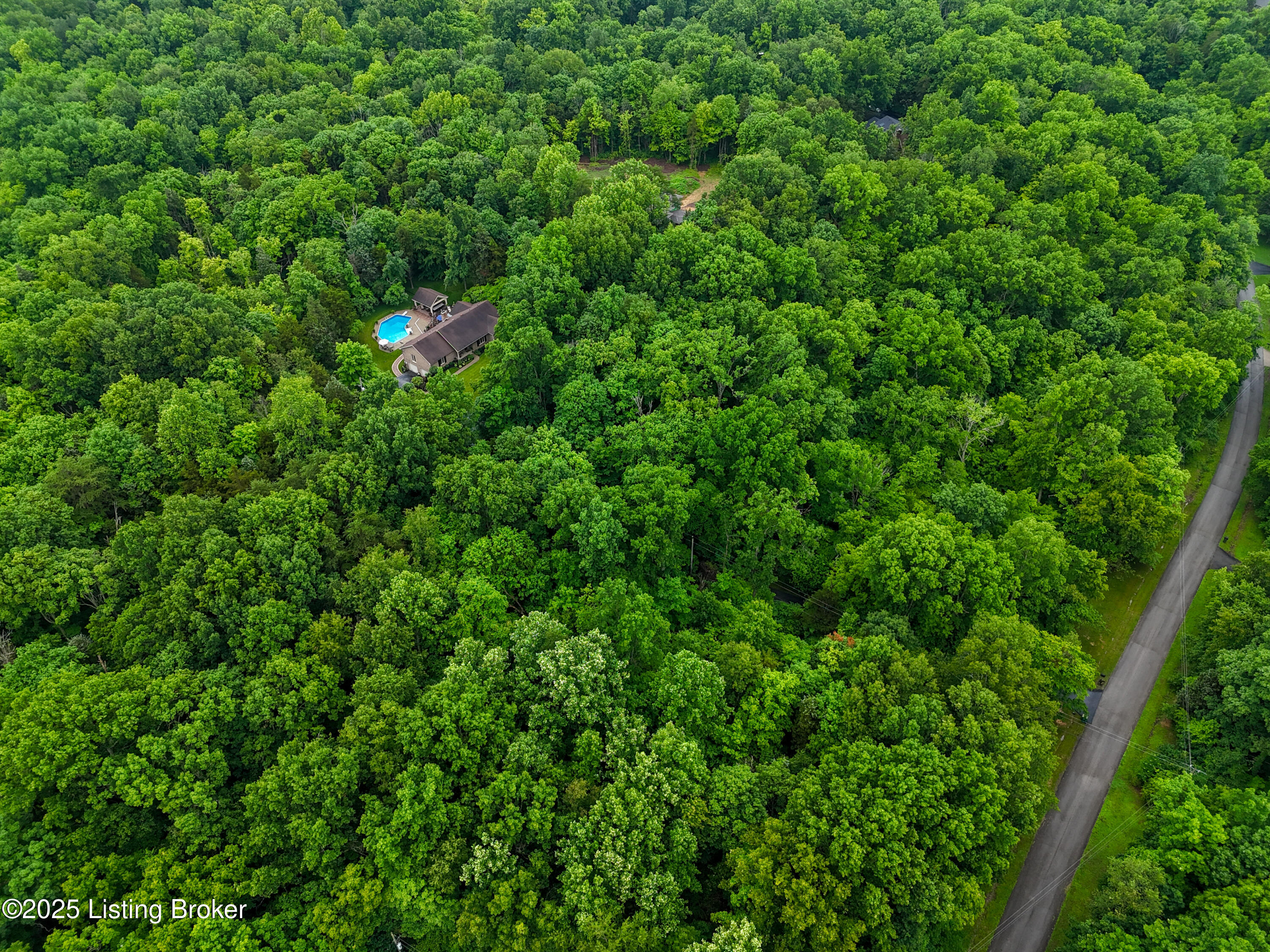 17405 Creek Run Dr