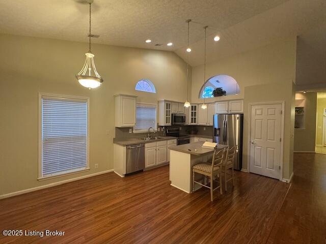10410 Dove Chase Cir