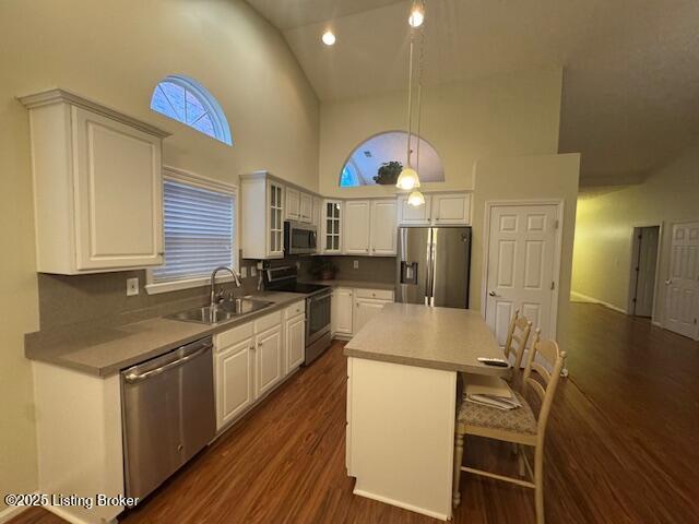 10410 Dove Chase Cir