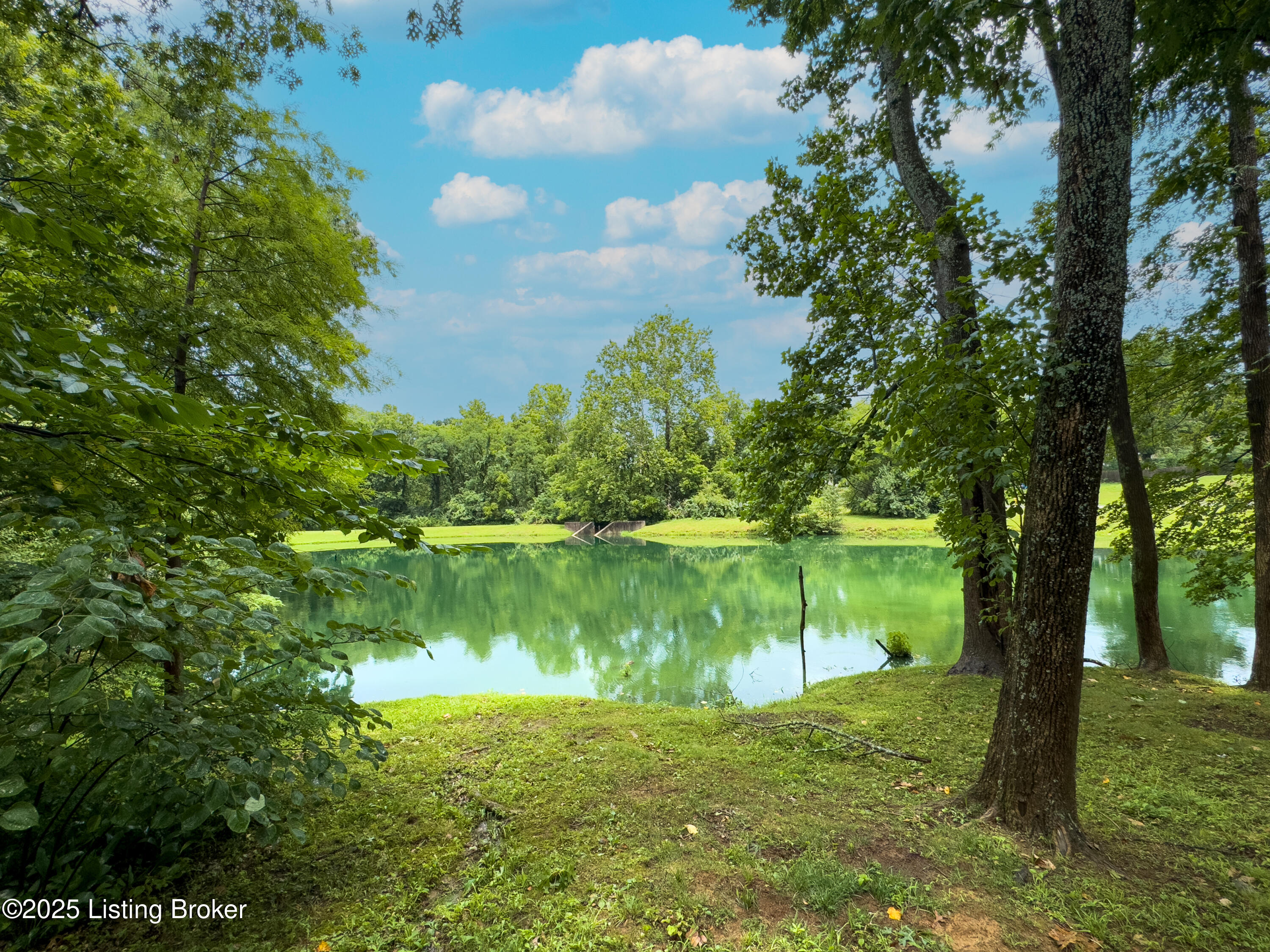 419 Village Lake Dr