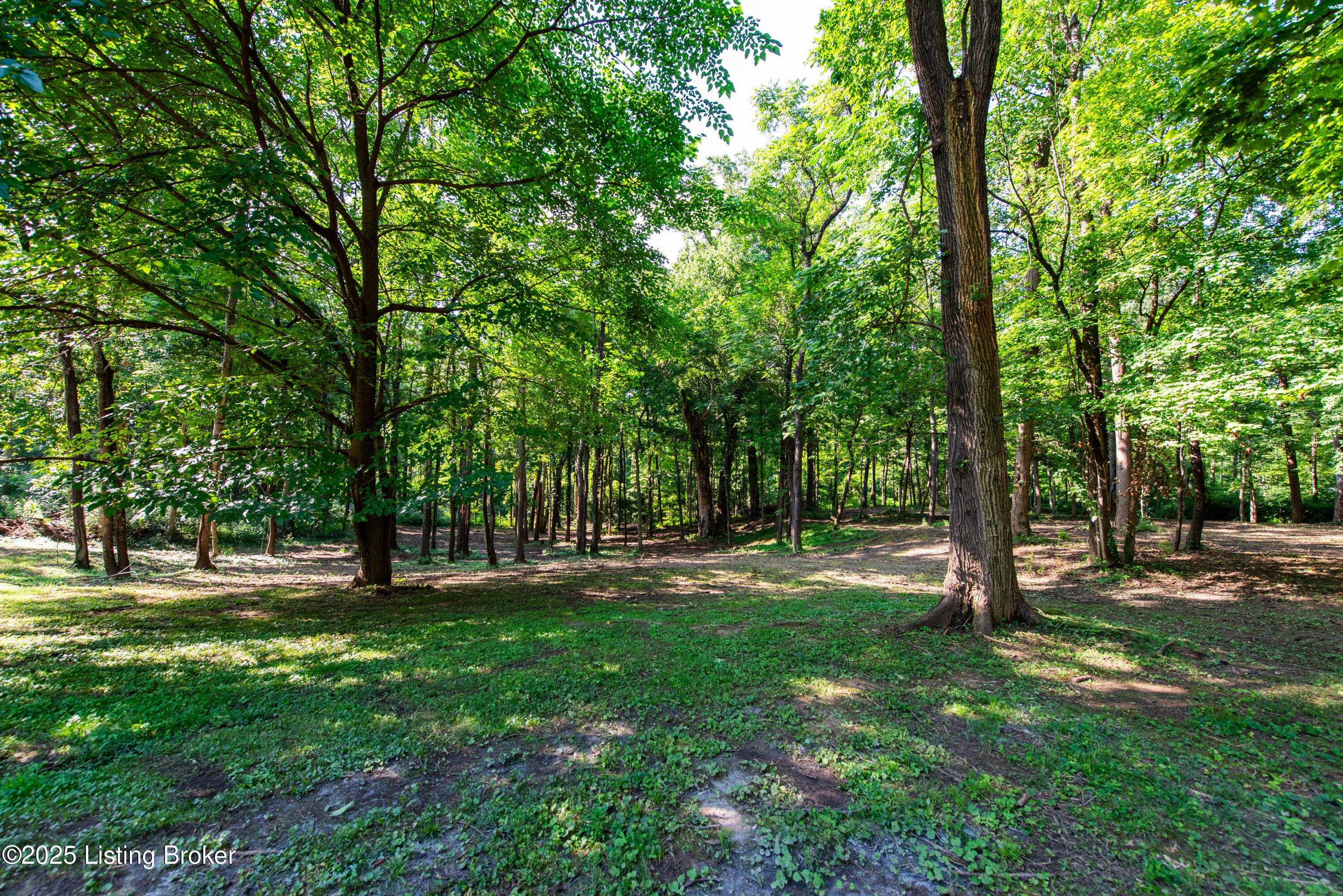 4100 Altawood Ct