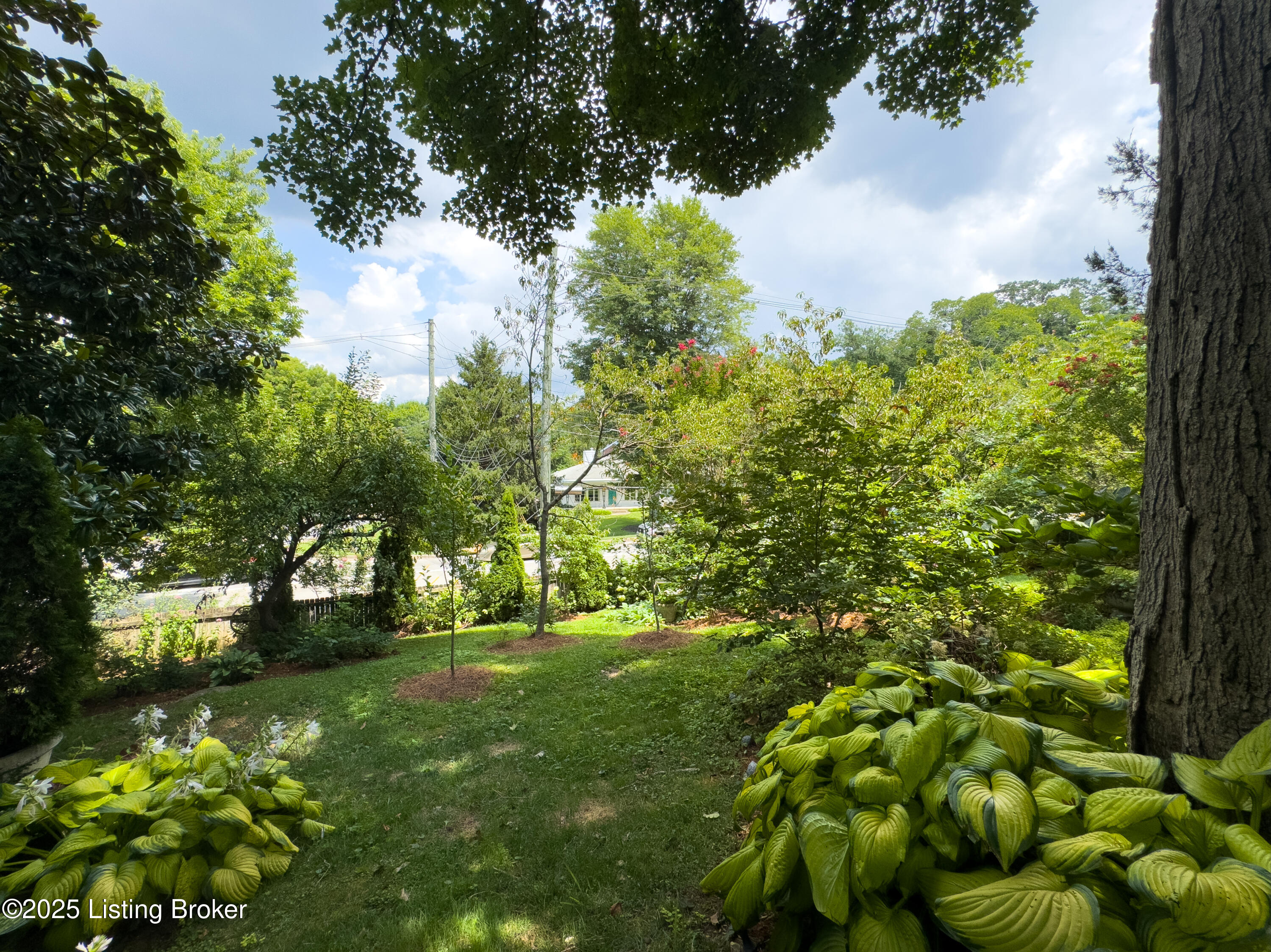 1521 Thackeray Dr