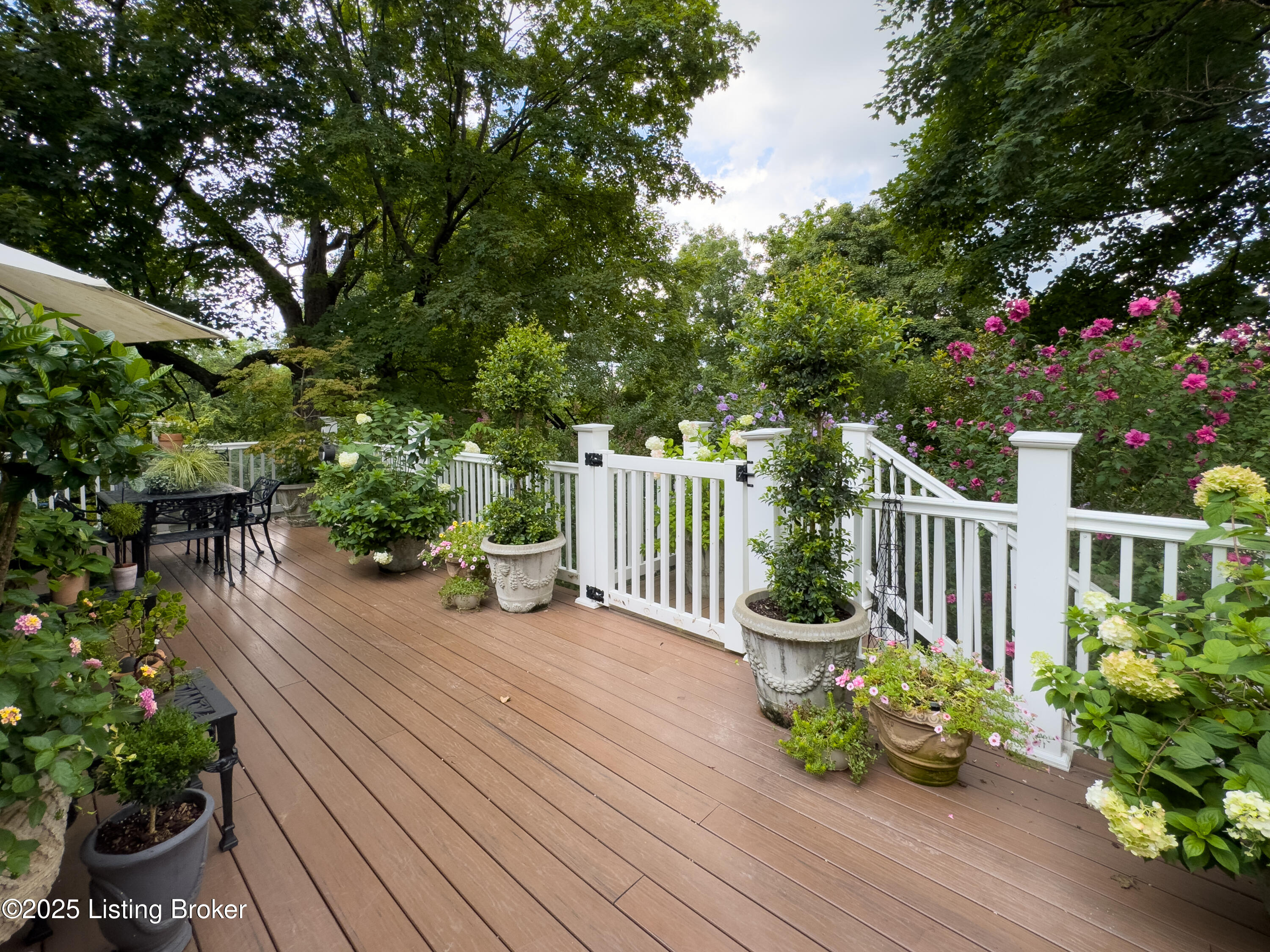 1521 Thackeray Dr