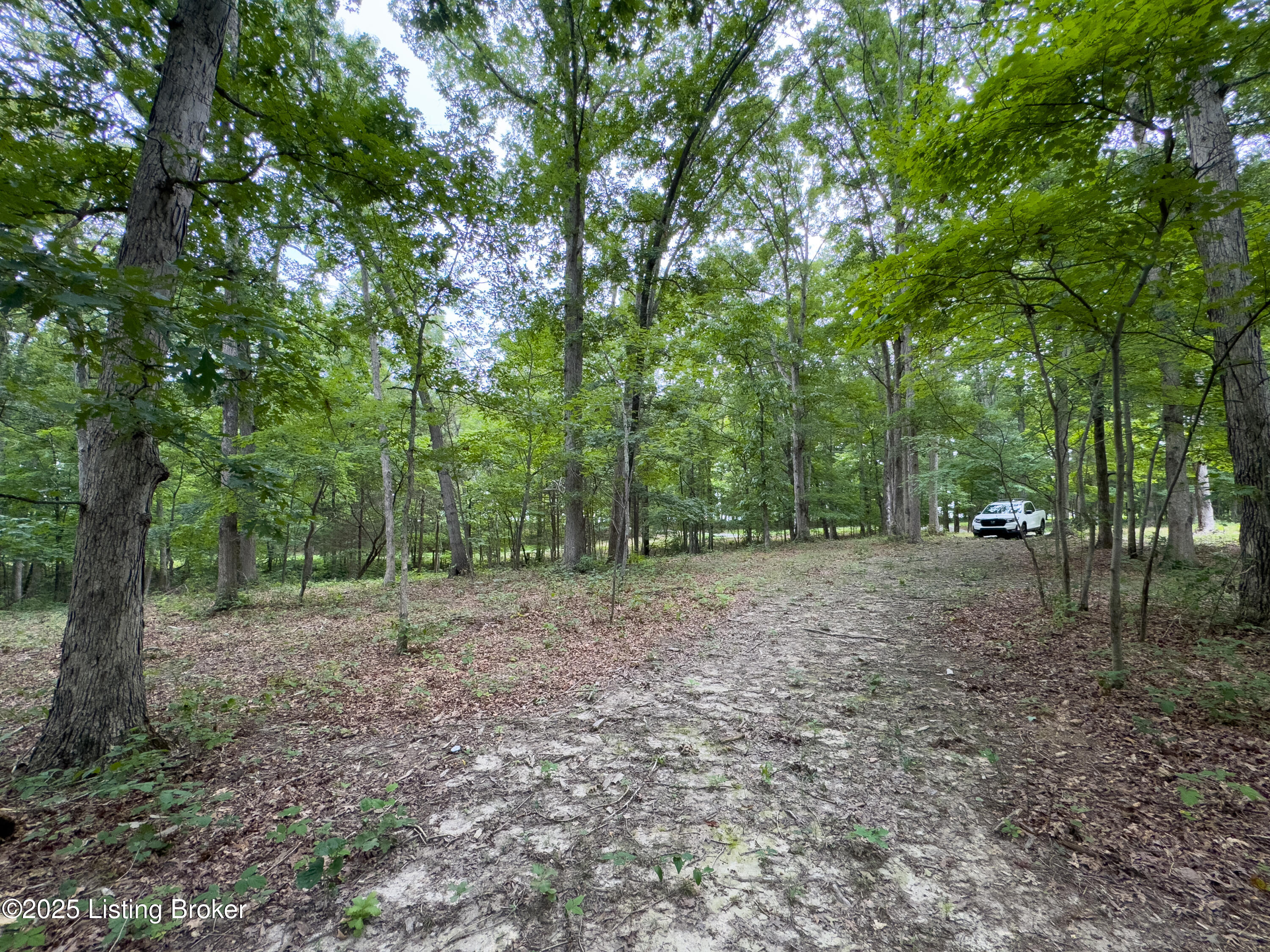 2616 Singleton Ln