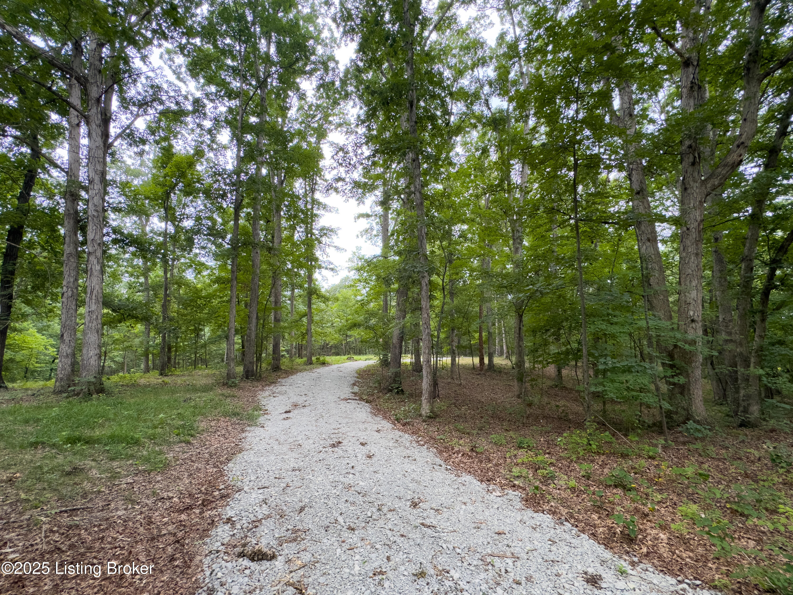 2616 Singleton Ln
