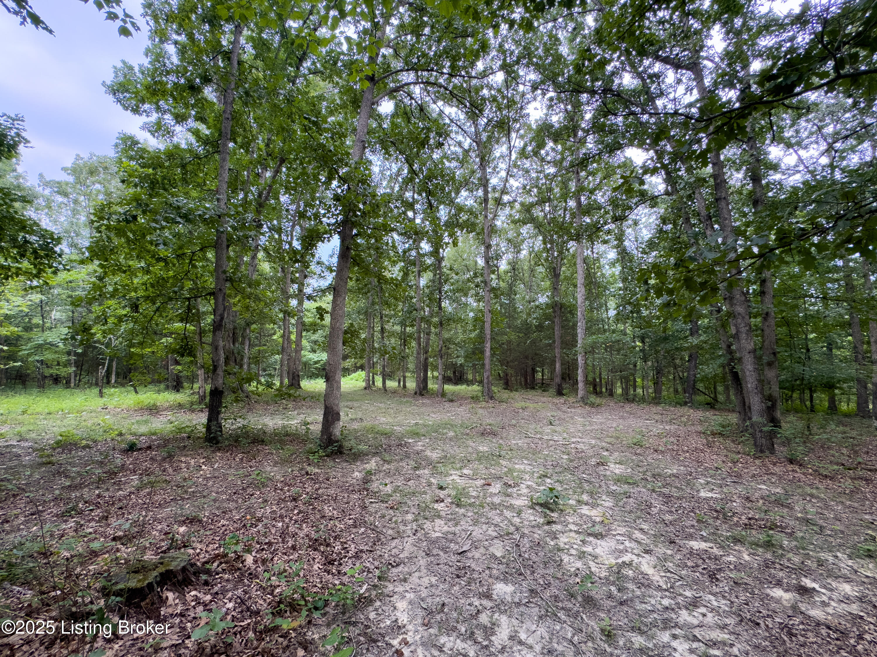 2616 Singleton Ln