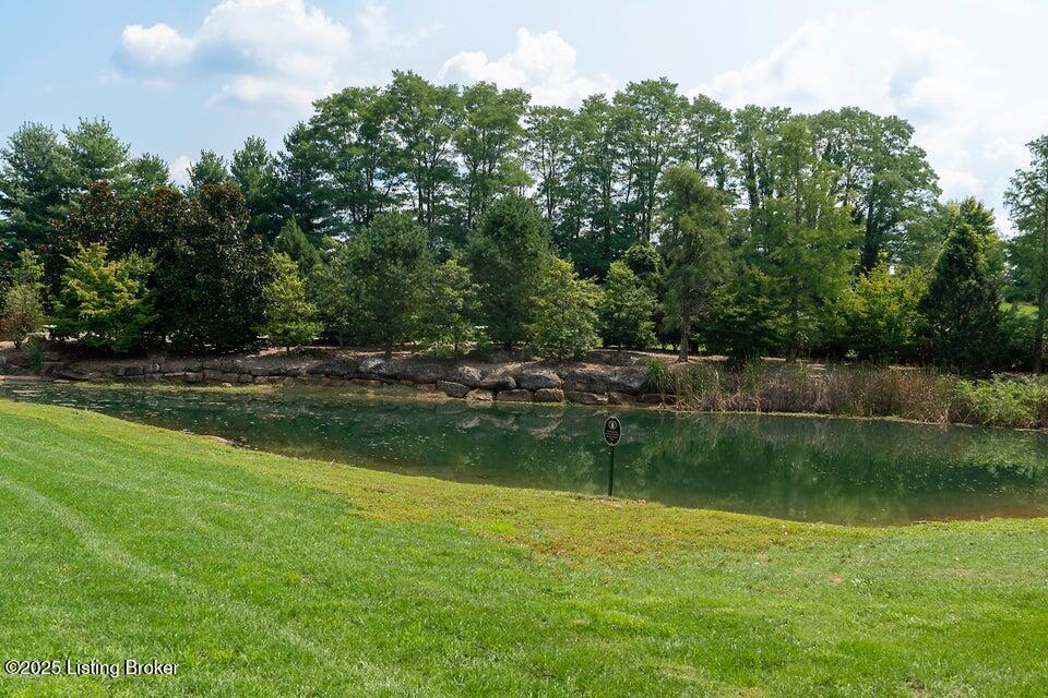 14600 Hamilton Springs Cir