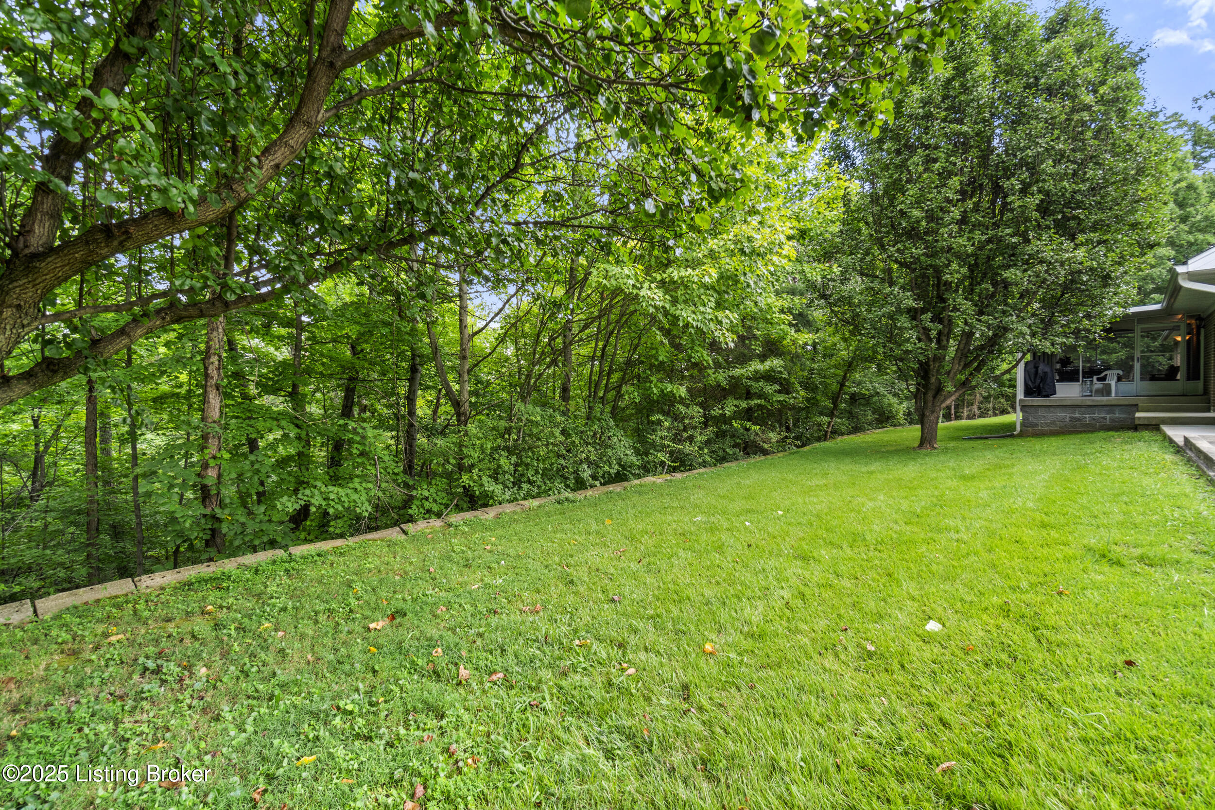 584 Wilderness Rd