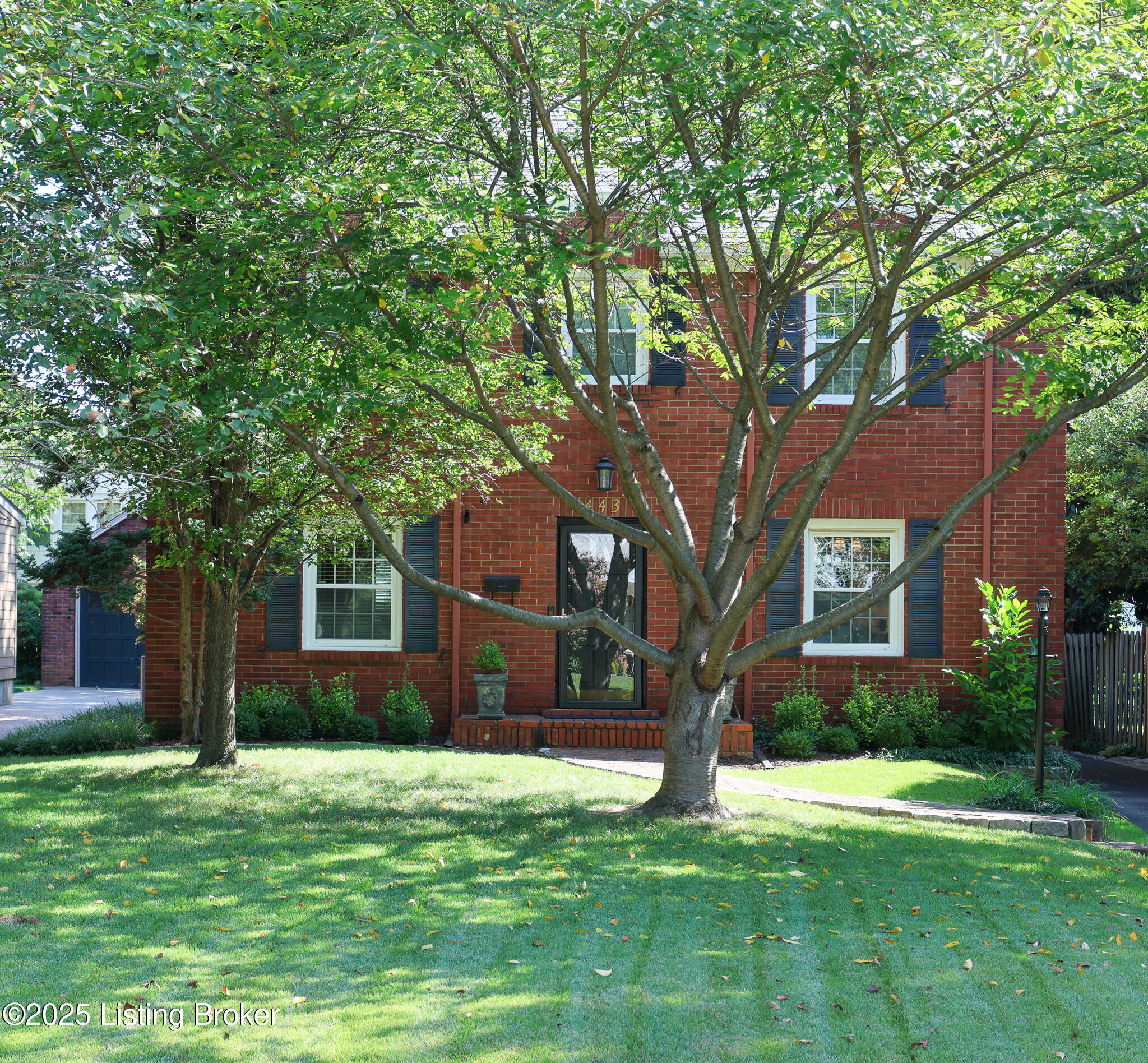 443 University Ave