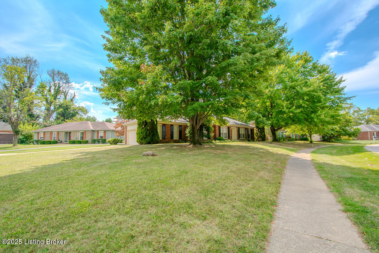 11802 Robindale Rd