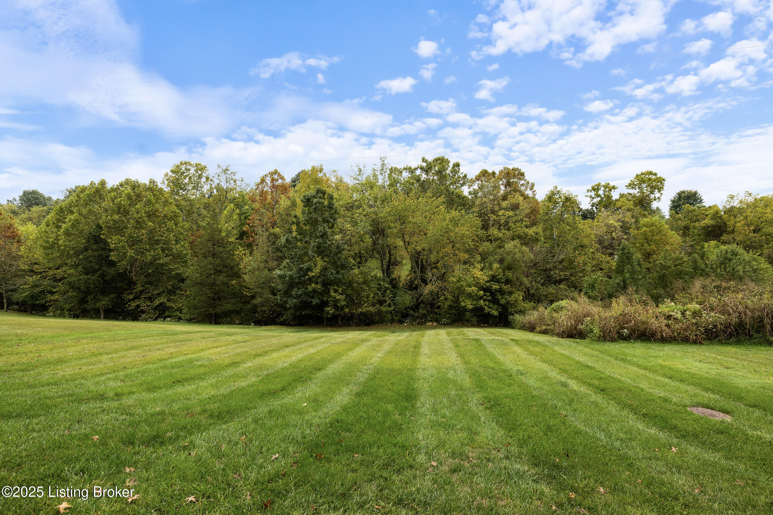 1310 Shakes View Ct