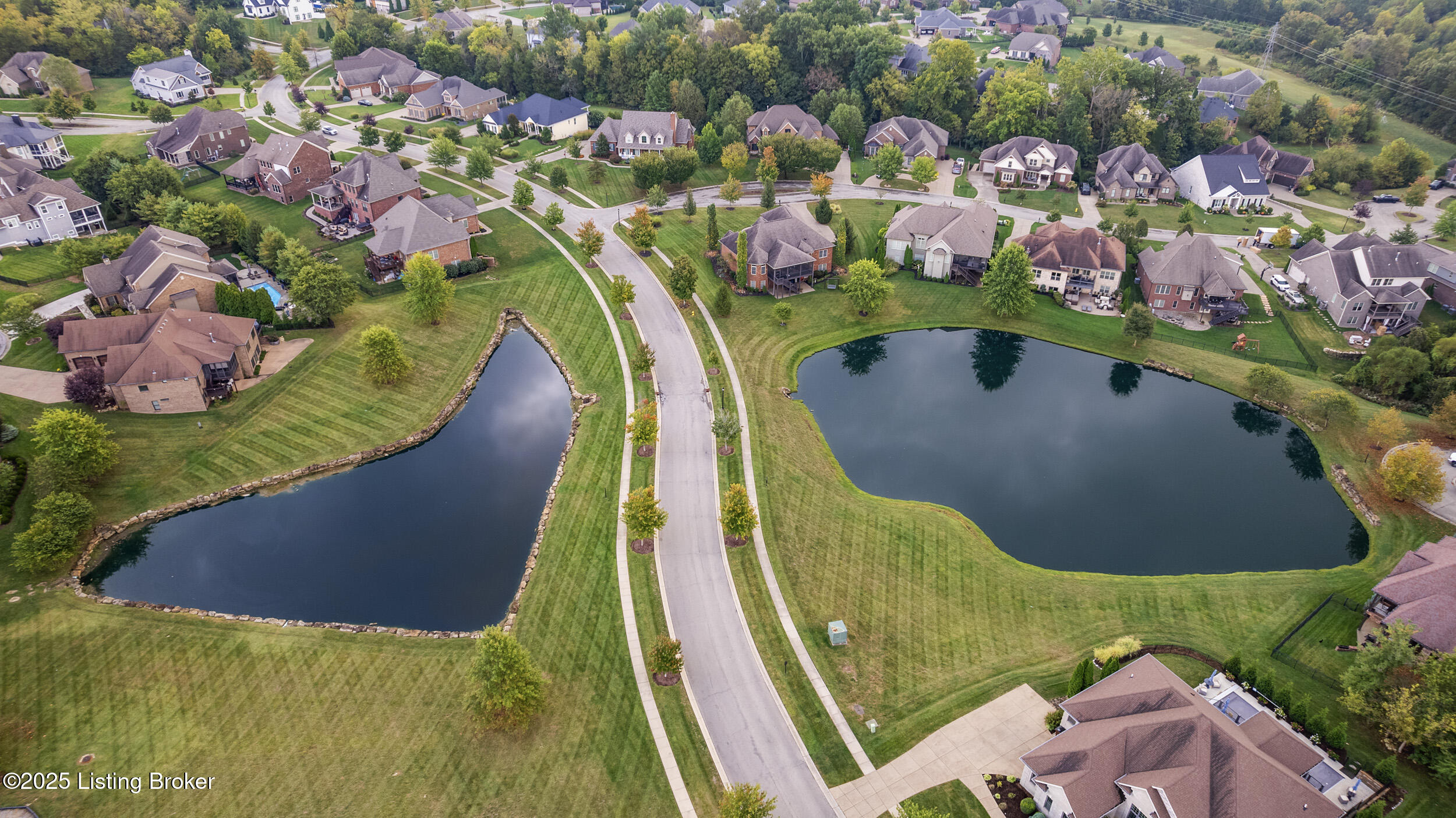 1310 Shakes View Ct