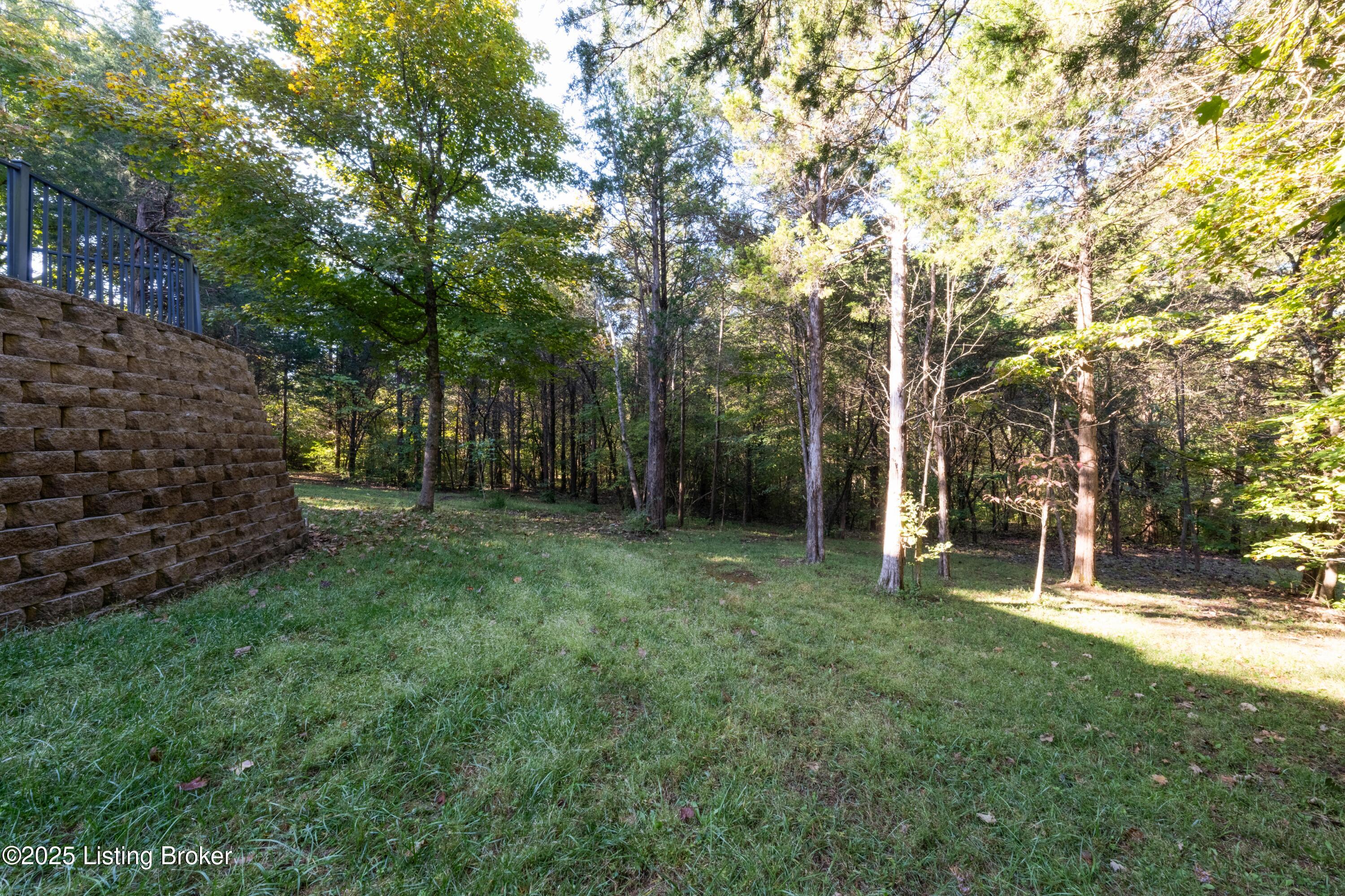 11006 Radleigh Ln