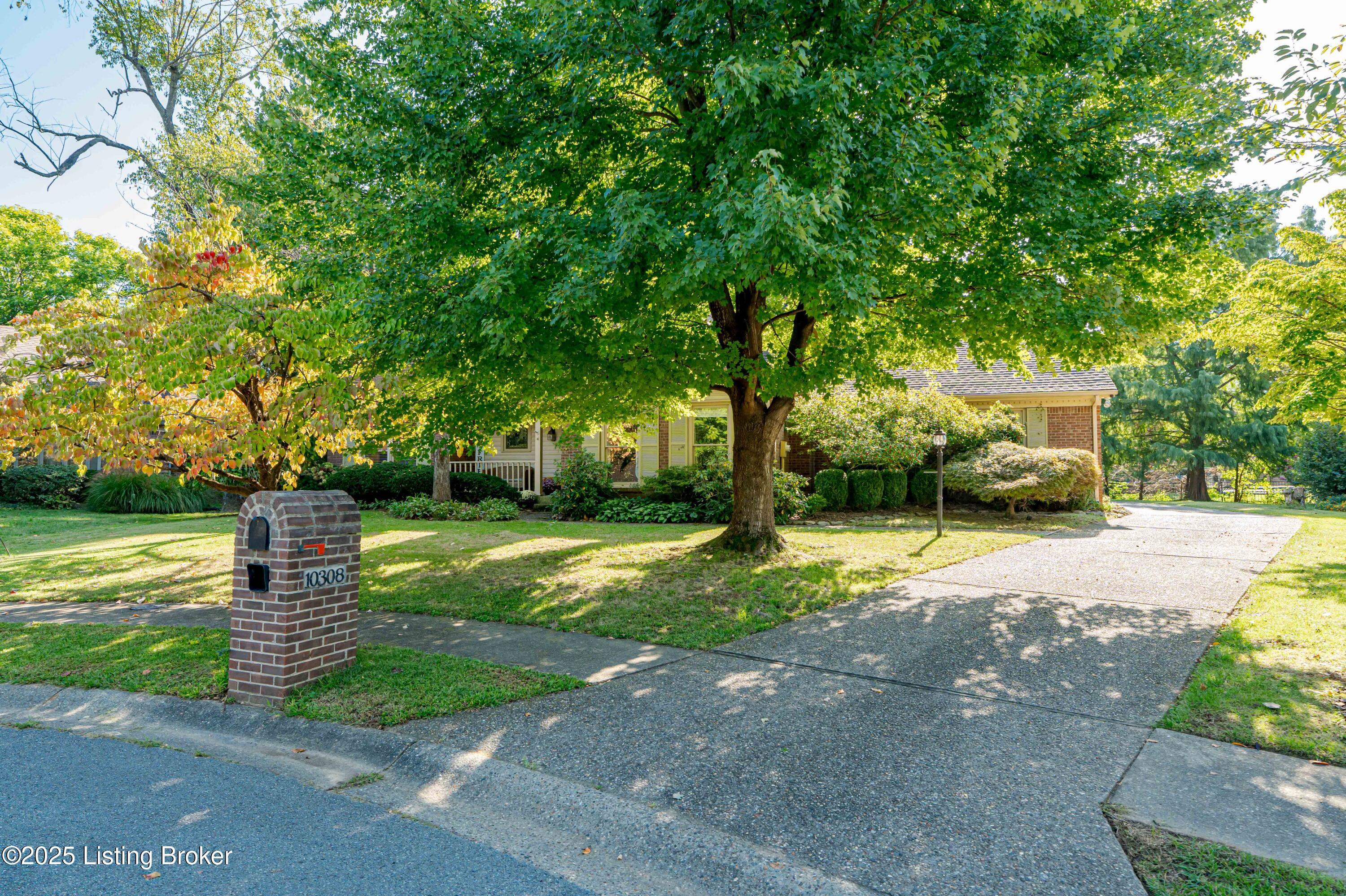 10308 Amy Lynn Ct
