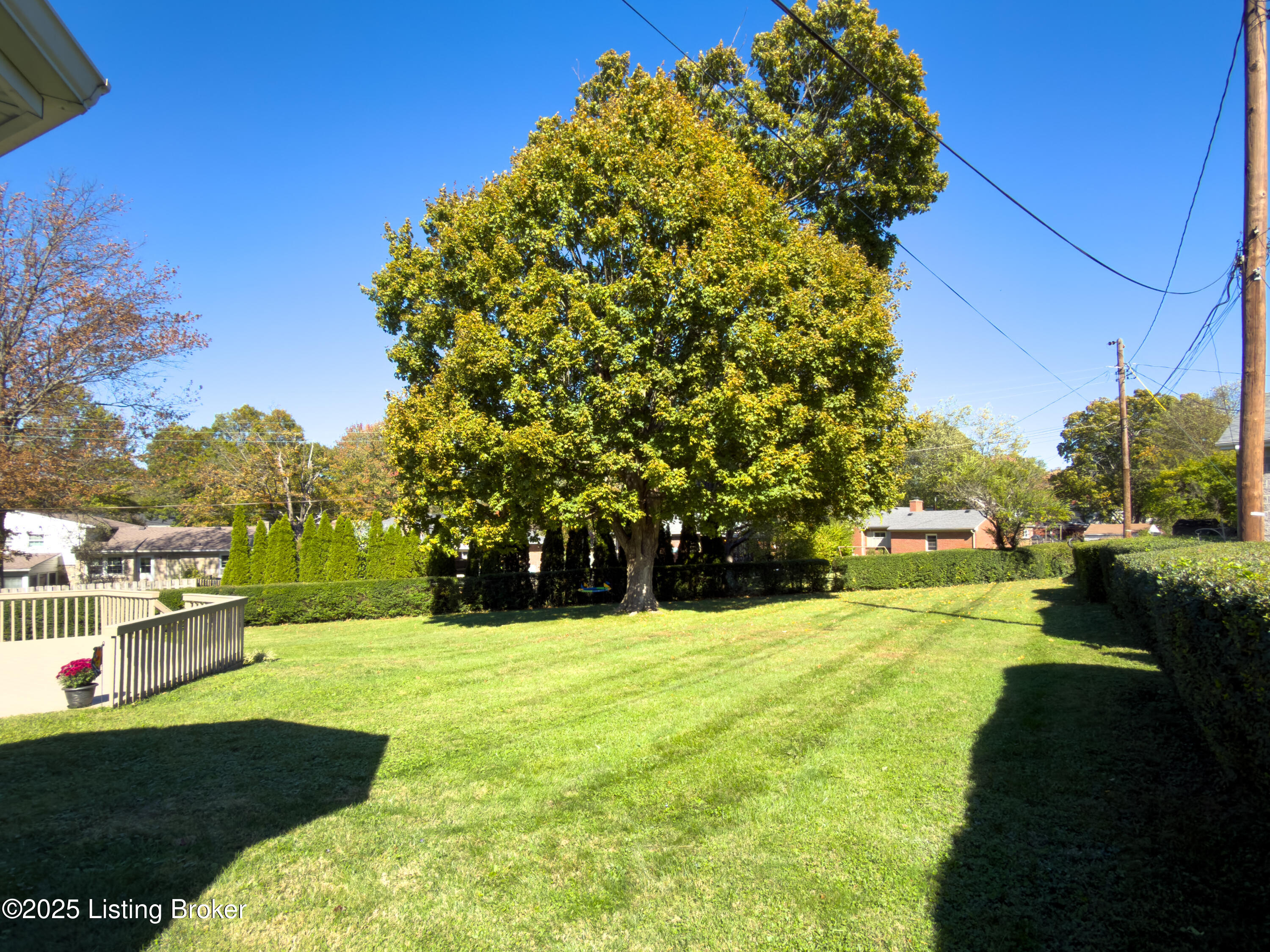 905 Iola Rd